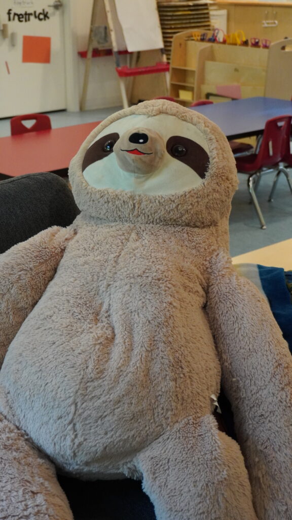Epicentre sloth